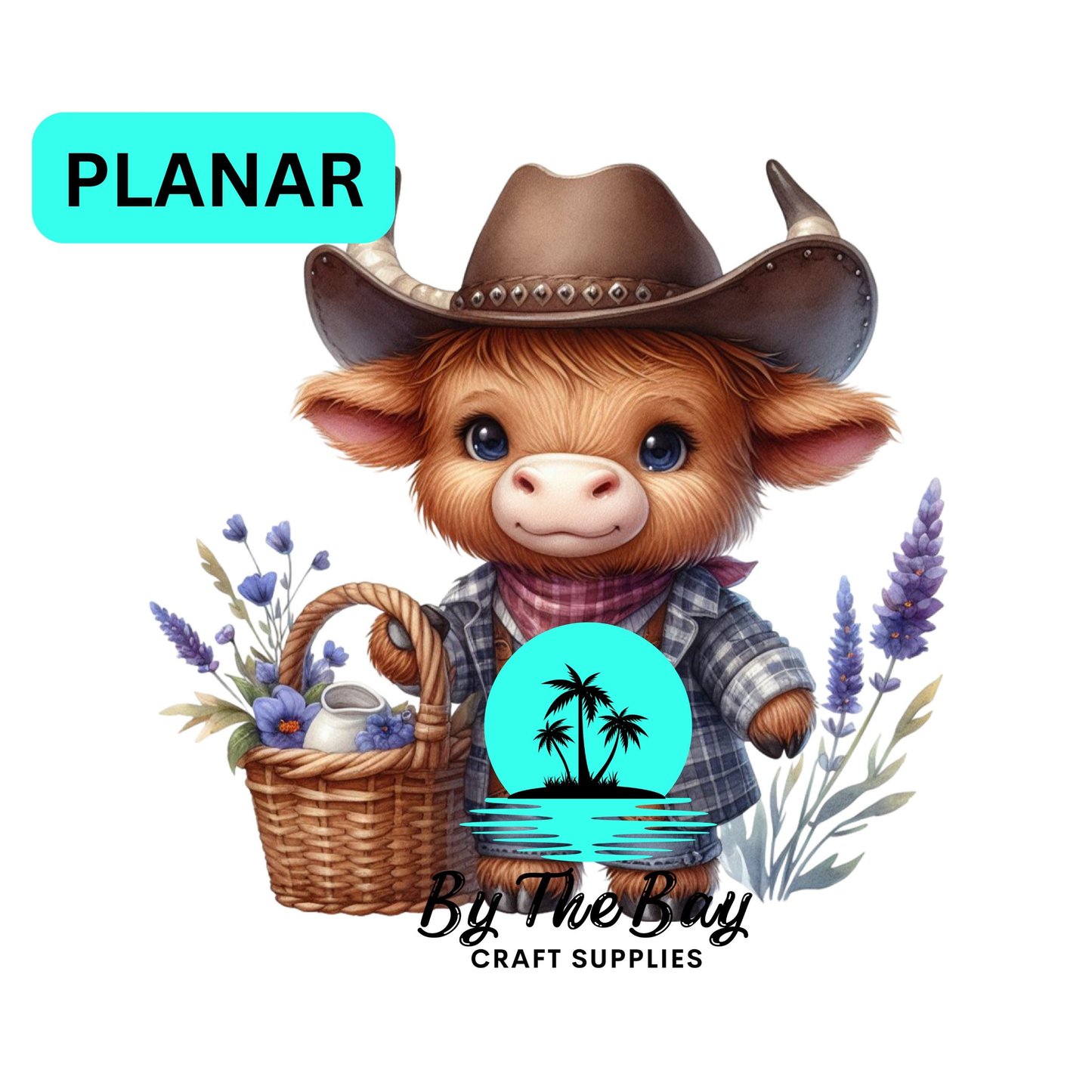 Cowboy highland flowers