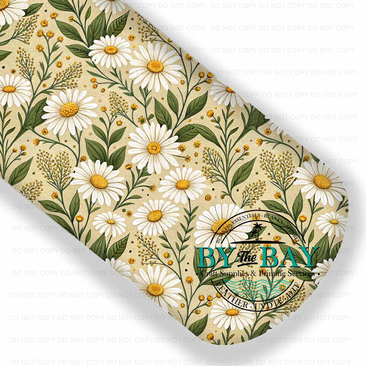 Daisy Spring 005