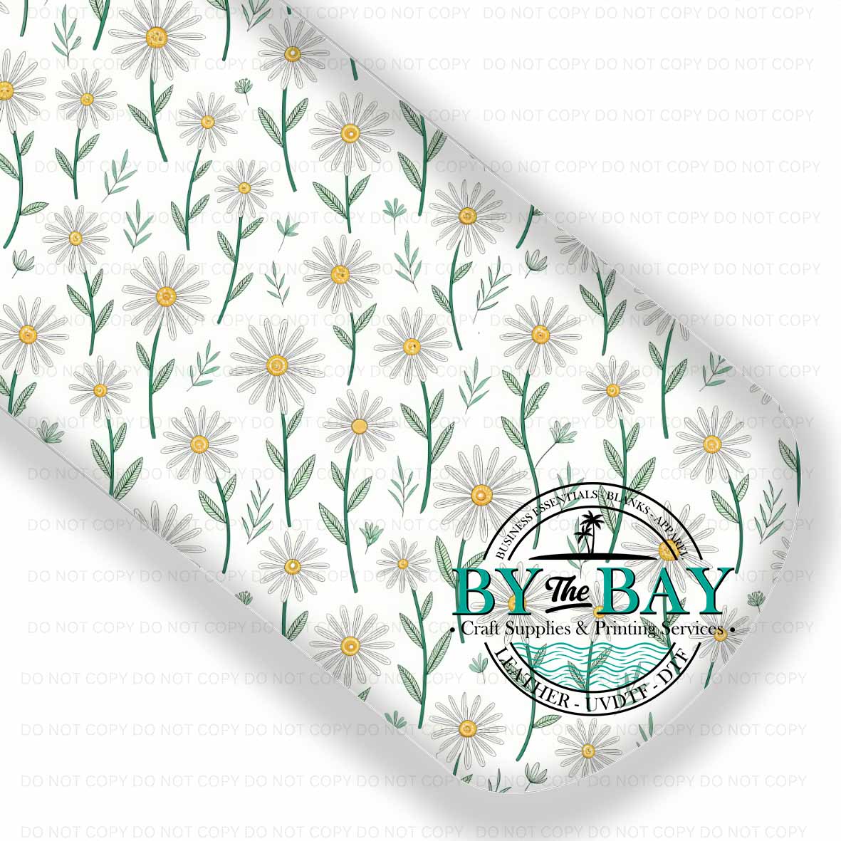 Daisy Spring 010