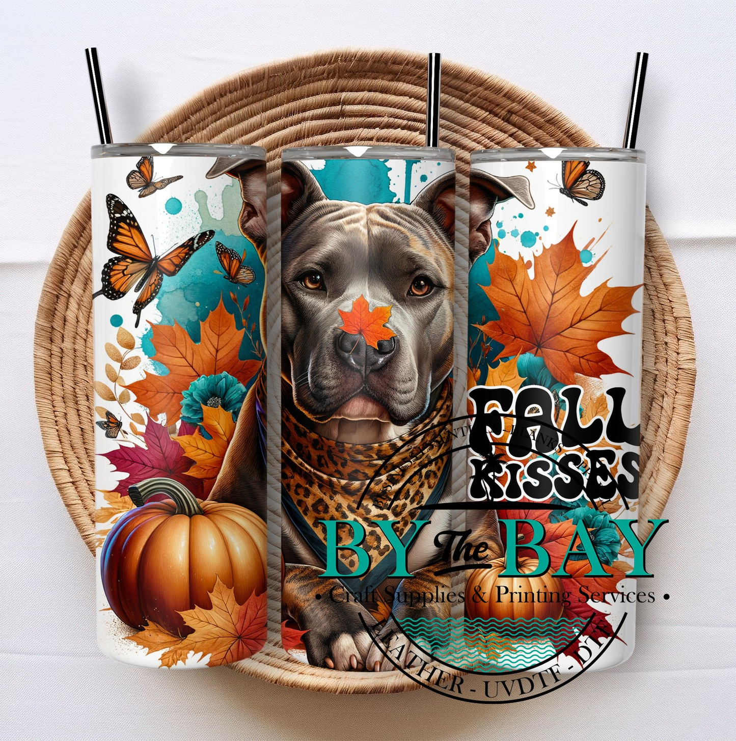 Fall Kisses Pitbull