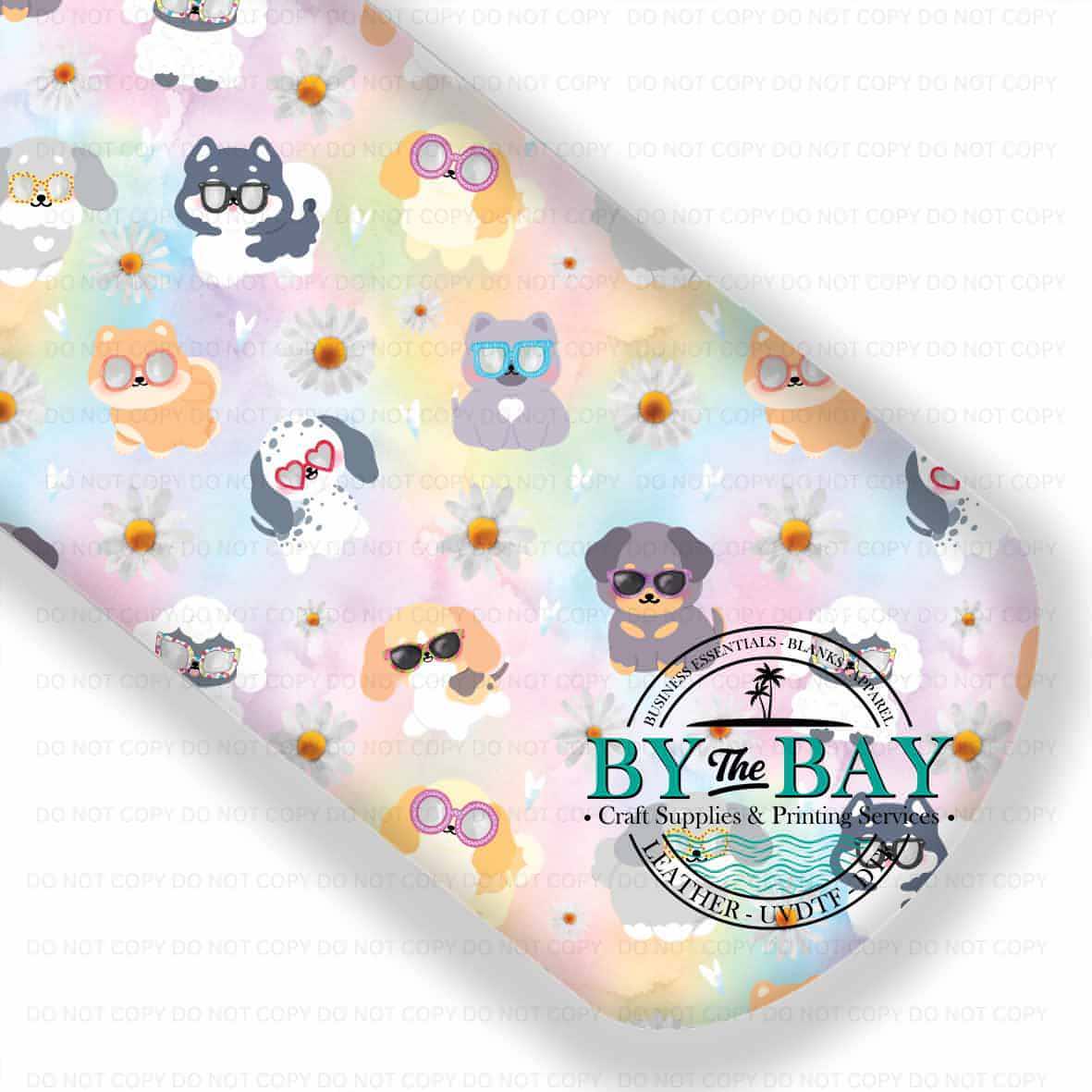 Its Always Sunny Rainbow Light