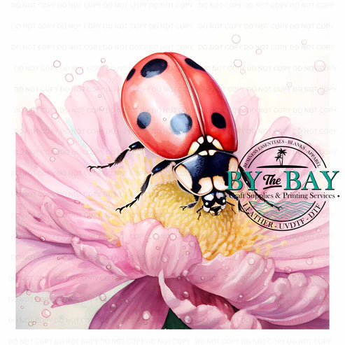 Watercolour Lady Beetle