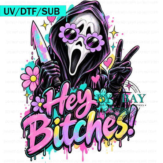 Hey B**ches DTF/UVDTF/SUB