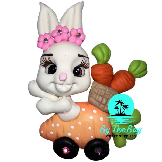 White bunny in carrot car - carrots