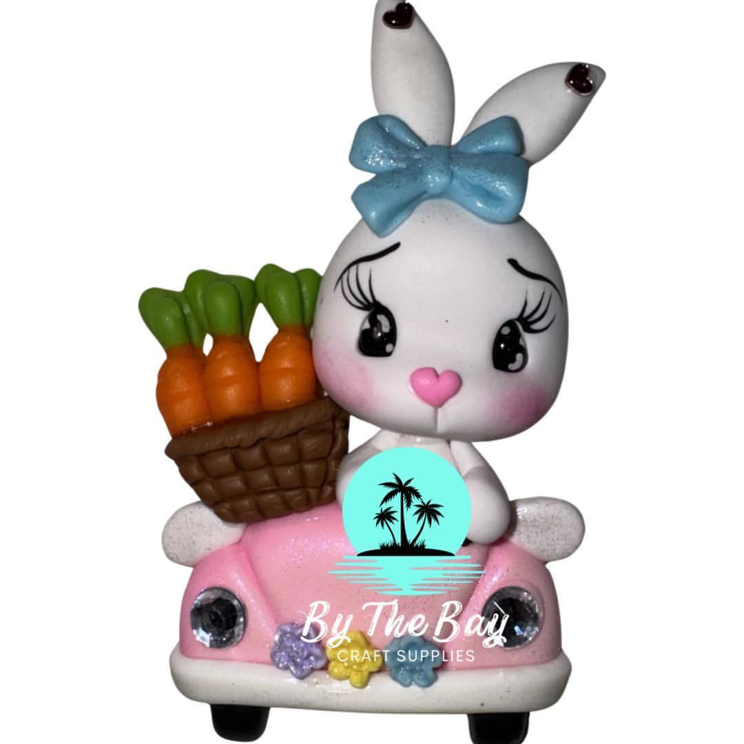 White bunny in car with carrots