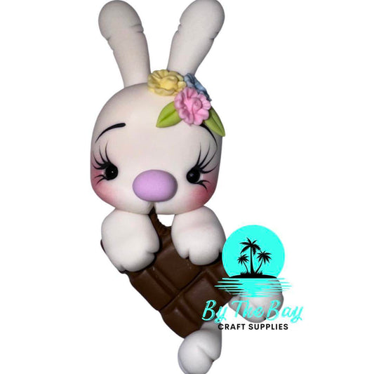 Bunny with chocolate bar
