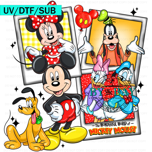 Mouse Co