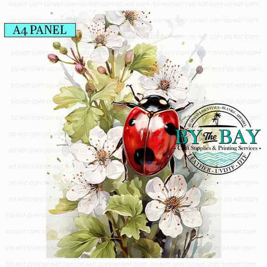 A4 Ladybug White Flowers set
