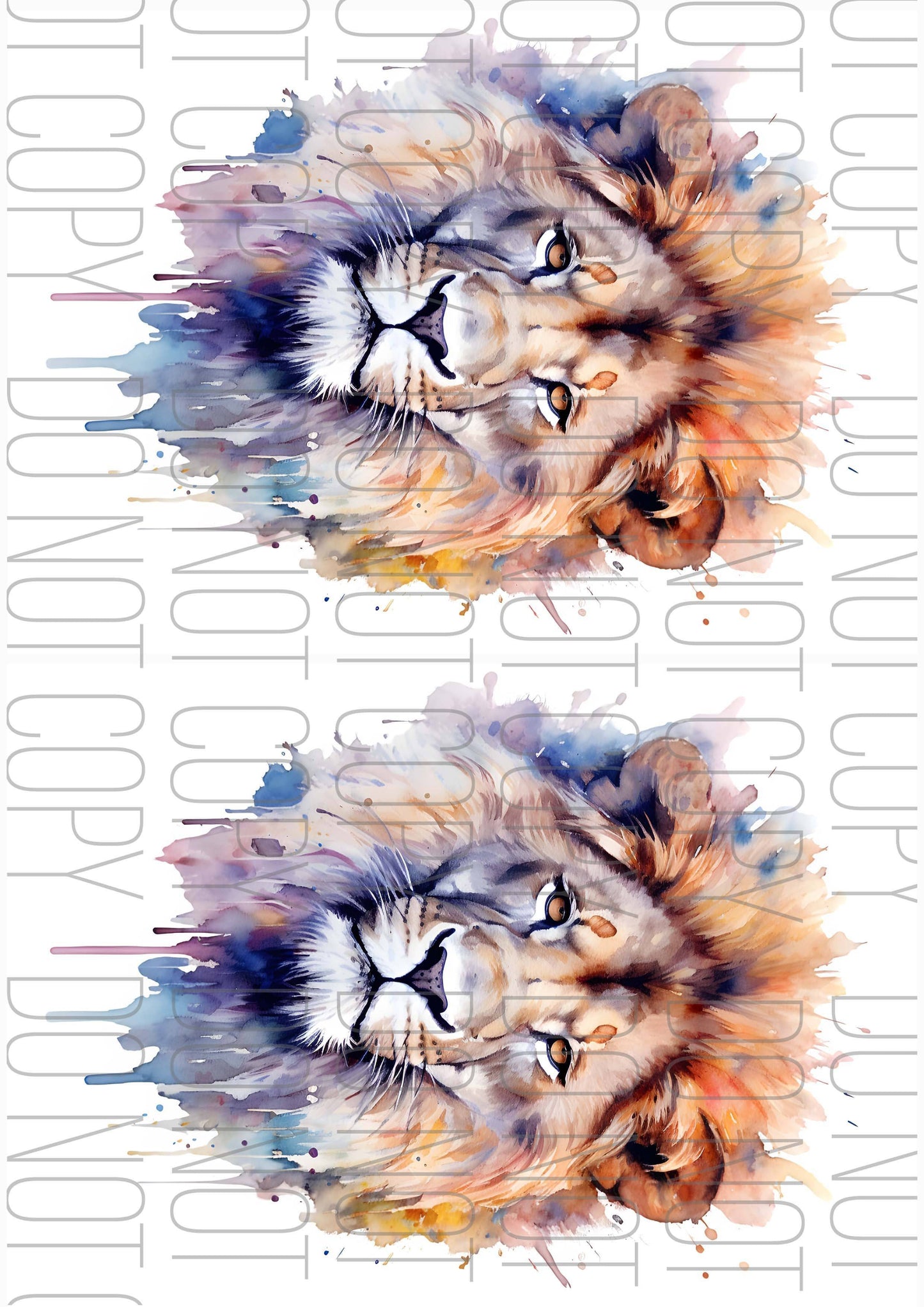 Watercolour Lion (Various sizes)