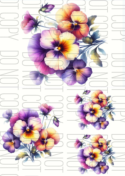 Purple Peony (Various sizes)