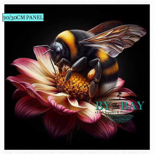 Bee Black background 20cm/30cm Panels