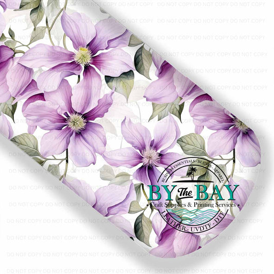 Clematis 001
