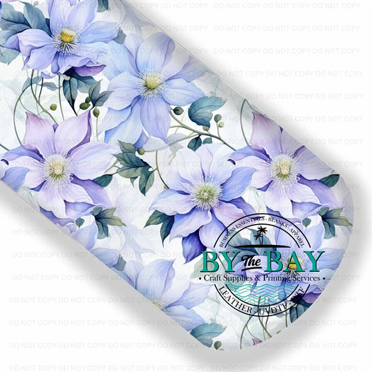 Clematis 002