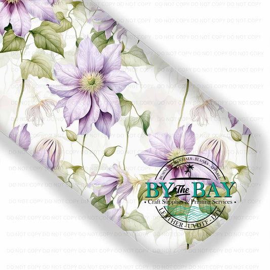 Clematis 003