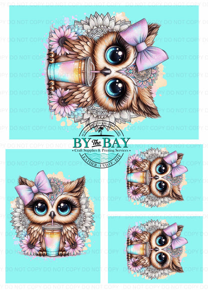 Cute Owl Blue Panel (Various Sizes)