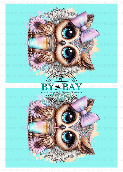 Cute Owl Blue Panel (Various Sizes)
