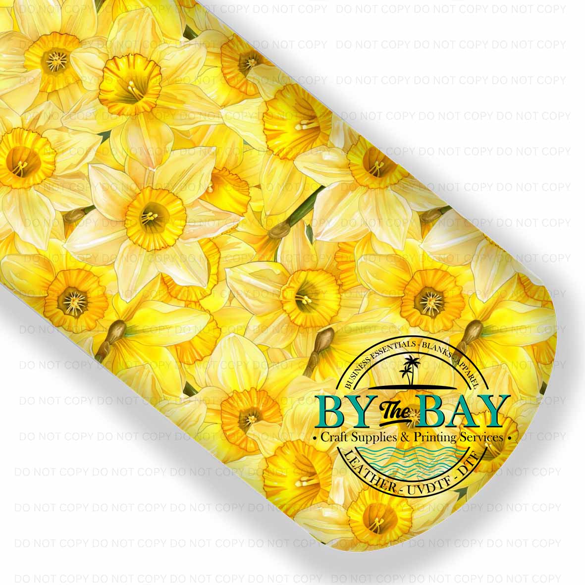 Daffodils 001