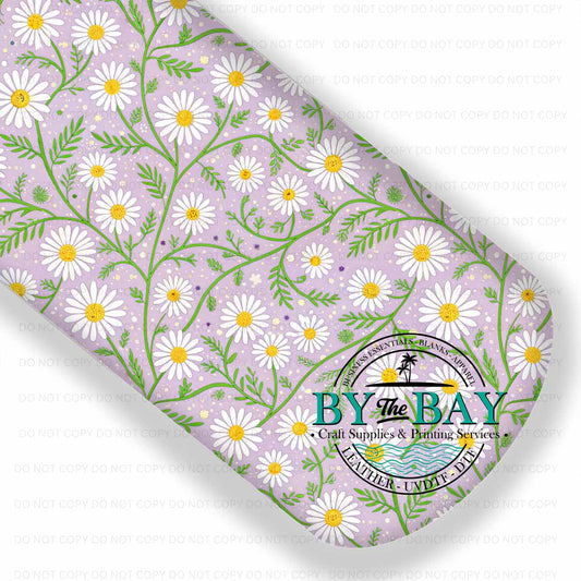 Daisy Spring 002