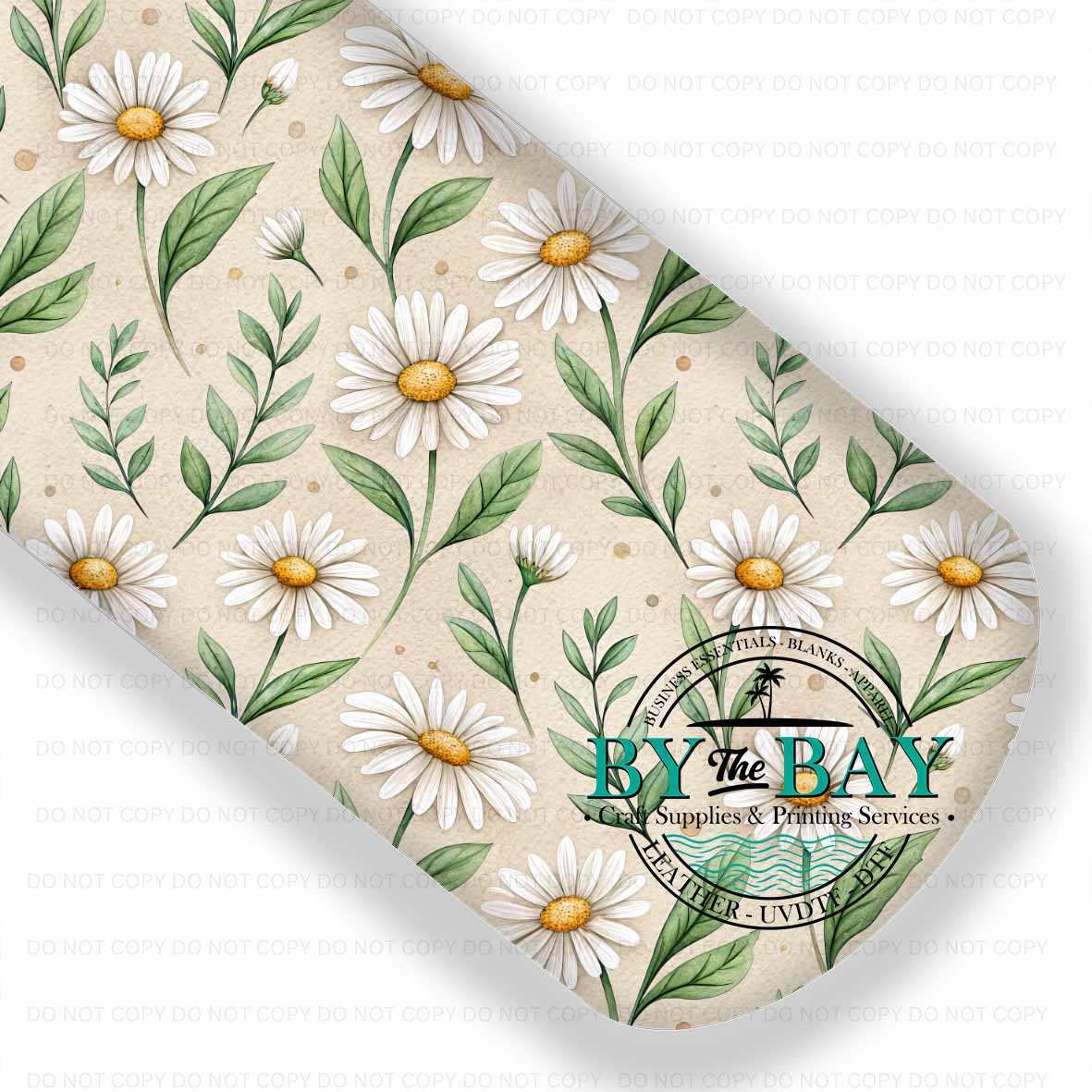 Daisy Spring 003