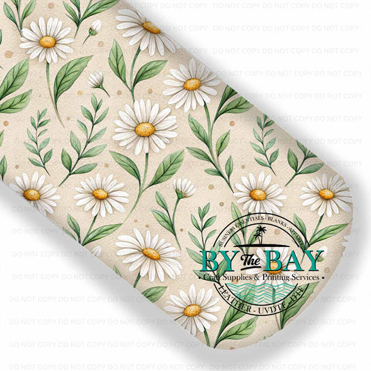 Daisy Spring 003