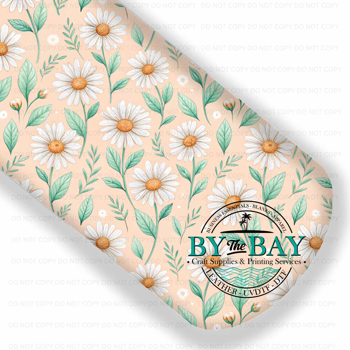 Daisy Spring 004