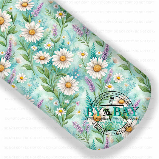 Daisy Spring 006