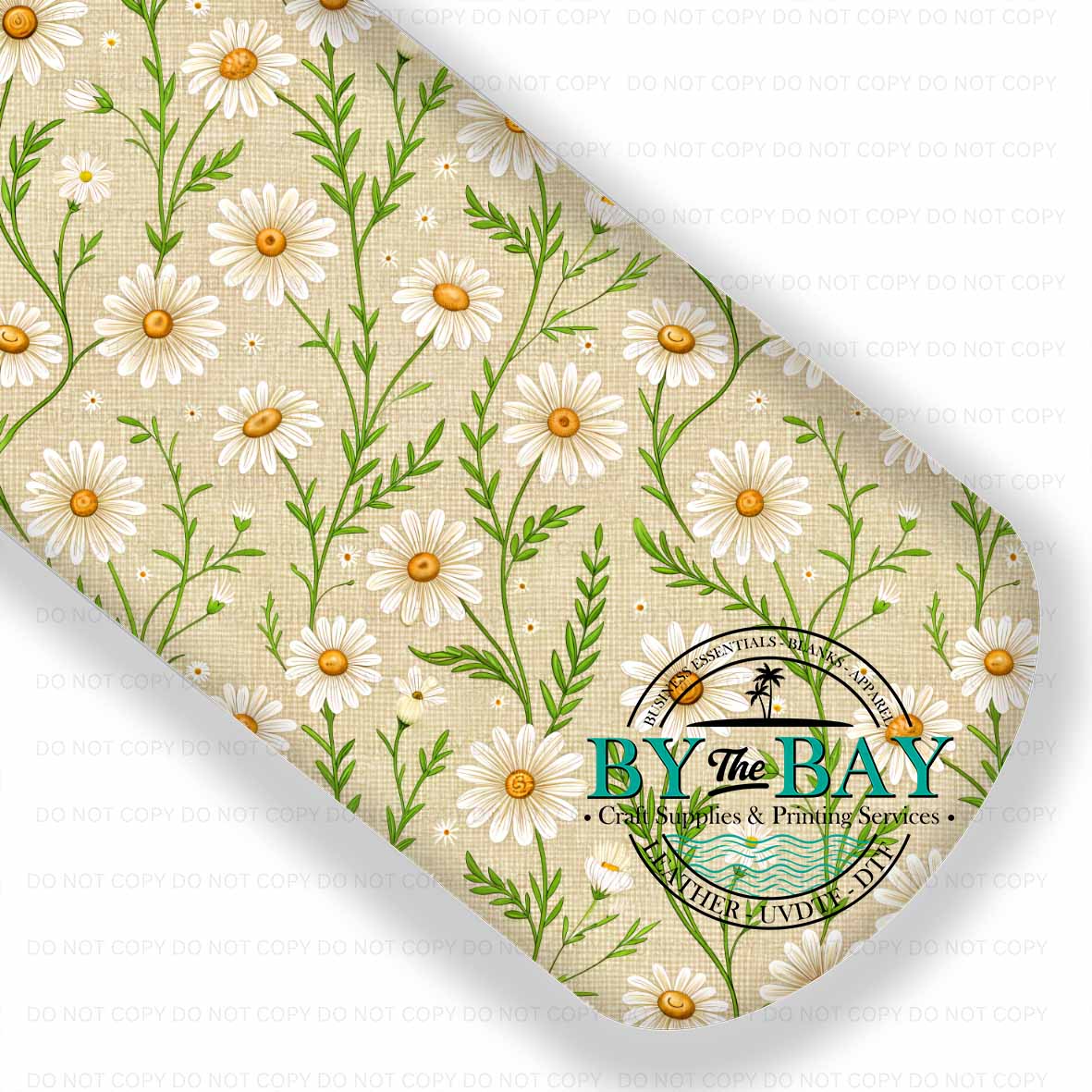 Daisy Spring 007