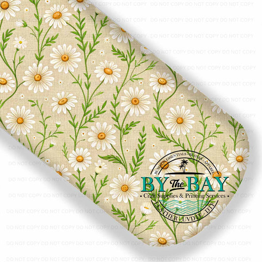 Daisy Spring 007