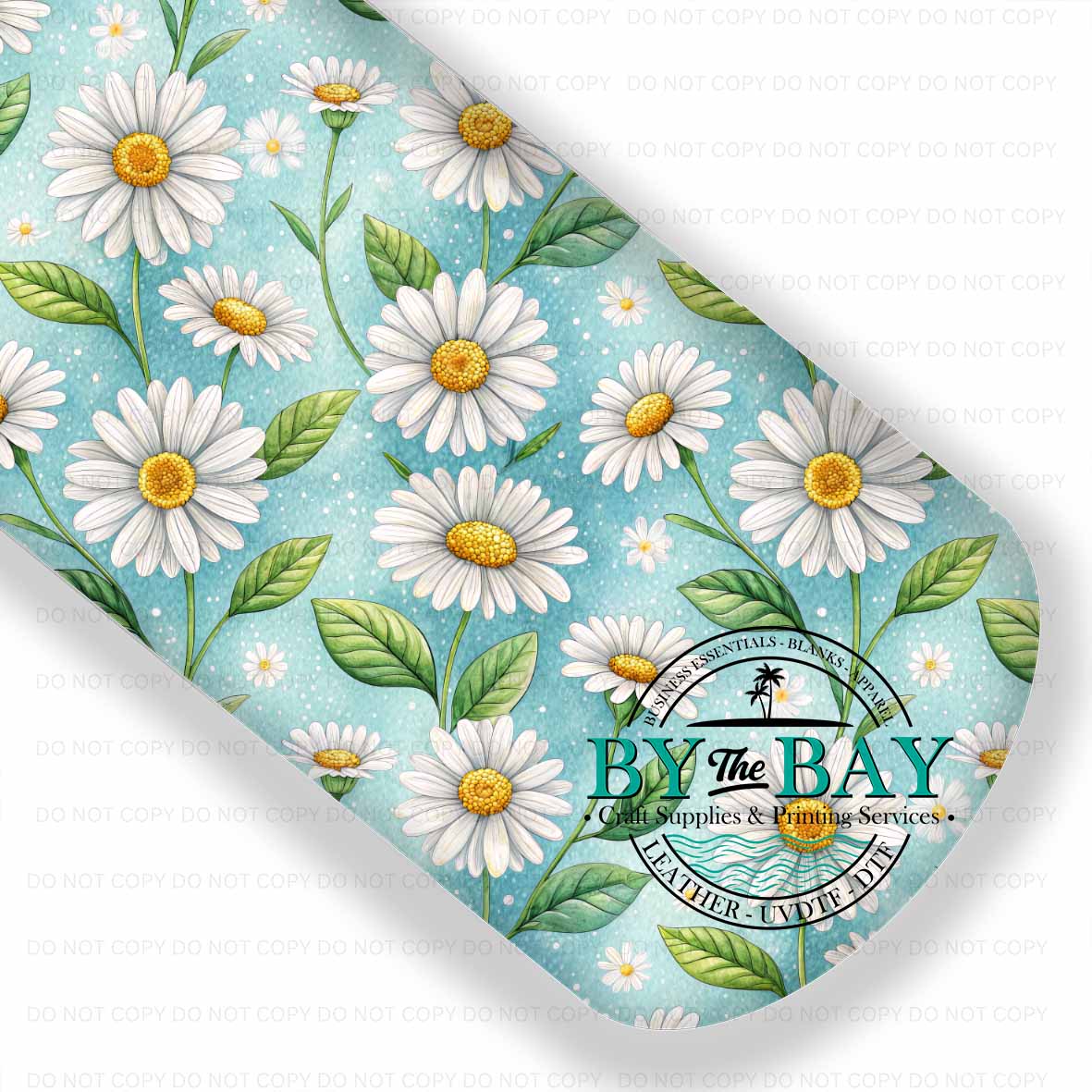 Daisy Spring 008