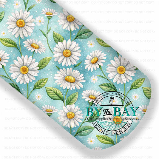 Daisy Spring 008