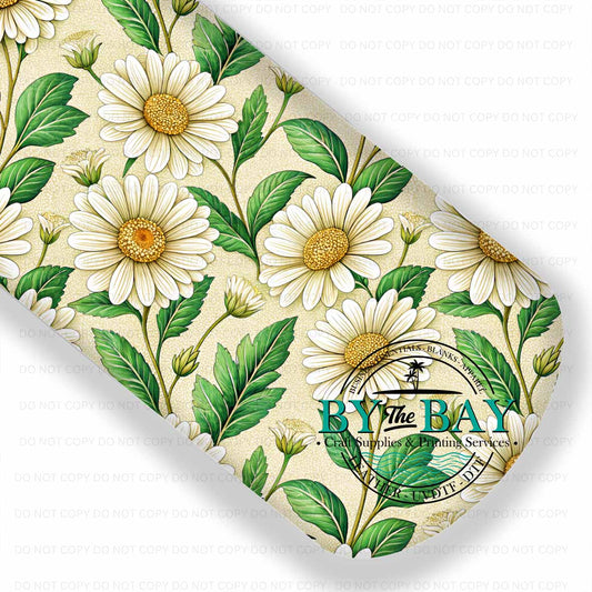 Daisy Spring 009