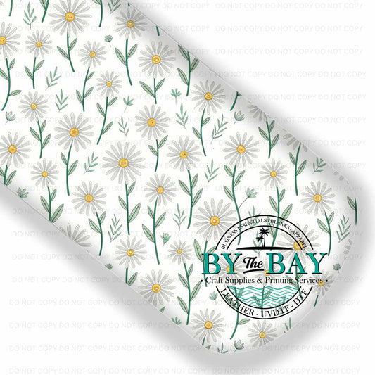 Daisy Spring 010