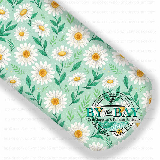 Daisy Spring 011