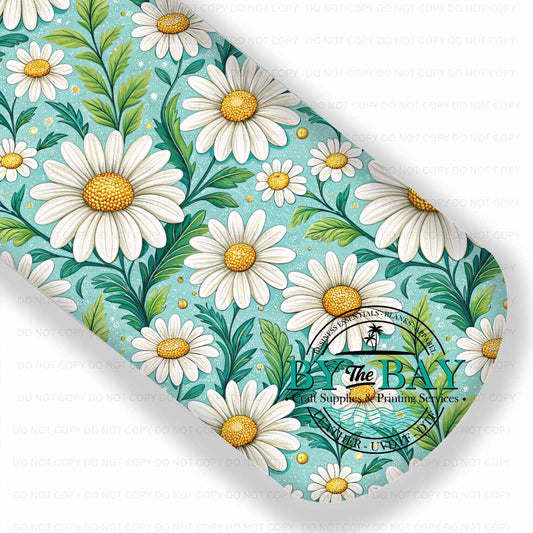 Daisy Spring 012