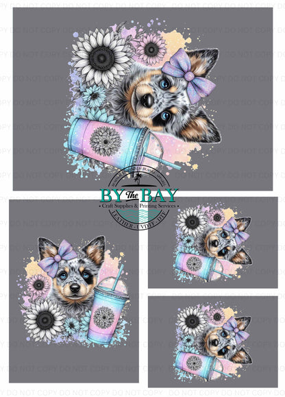 Grey Blue Heeler Pup Panel (Various Sizes)