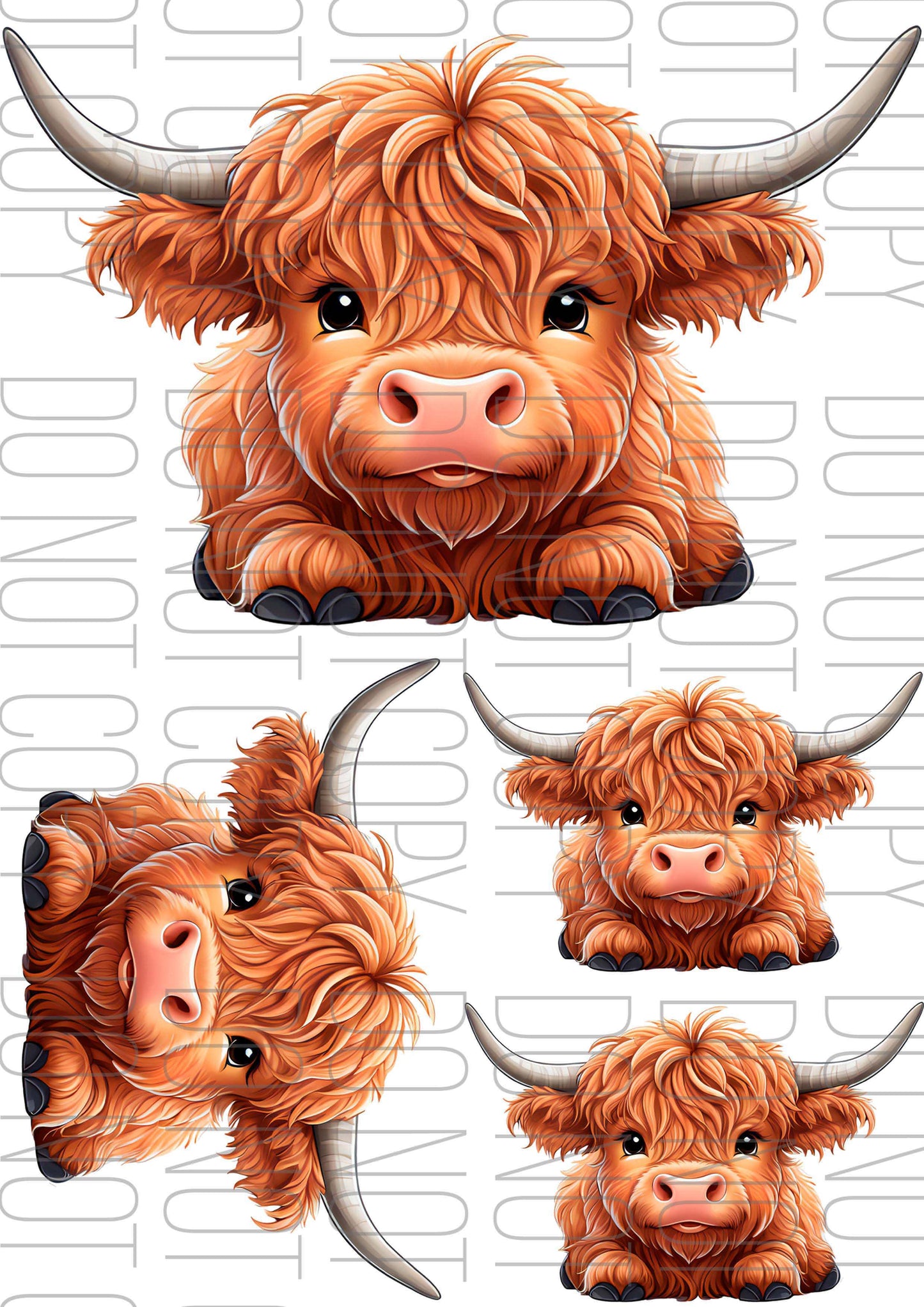 Highland Cow long horn (Various sizes)