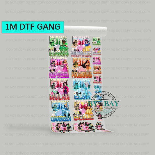 Kids Sized Princess 1 Pre-designed 1m DTF Gang Sheet