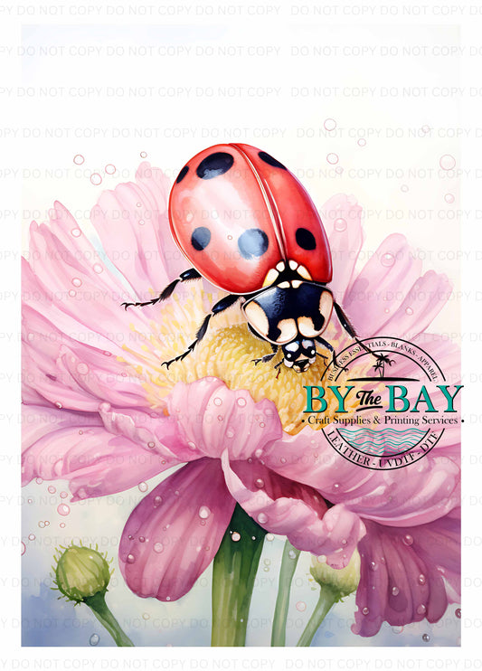 Ladybug Watercolour Panel (Various Sizes)