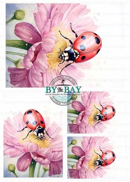 Ladybug Watercolour Panel (Various Sizes)