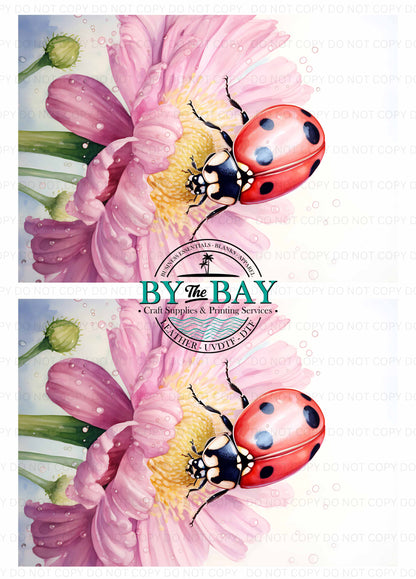 Ladybug Watercolour Panel (Various Sizes)