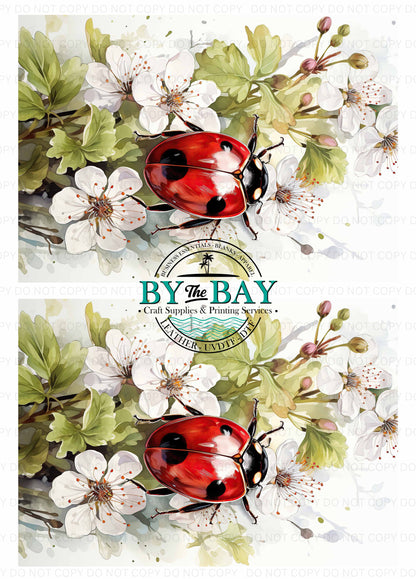 White Ladybug Panel (Various Sizes)