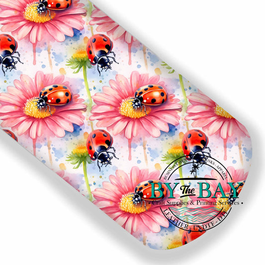 Ladybugs 2