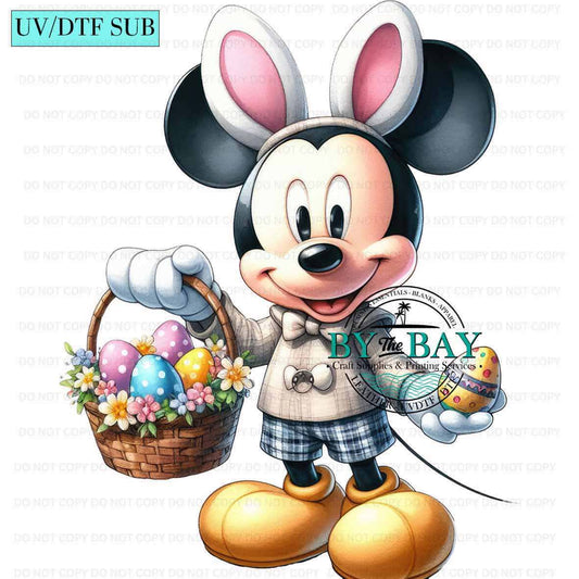 Mr Mouse 02