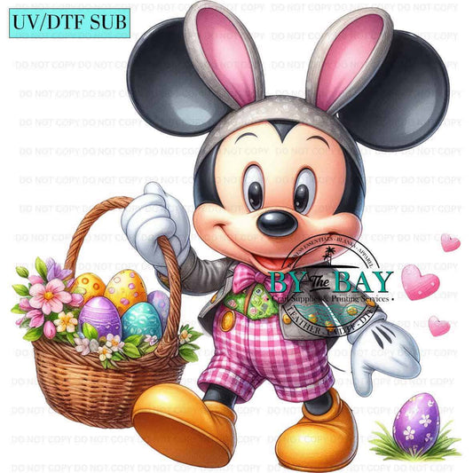 Mr Mouse 10
