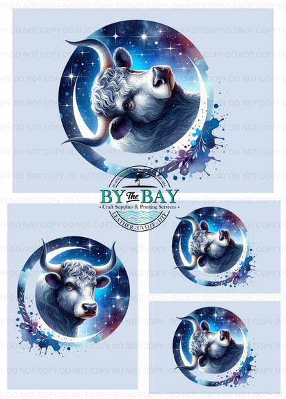 Taurus (Various Sizes) Bag Panels