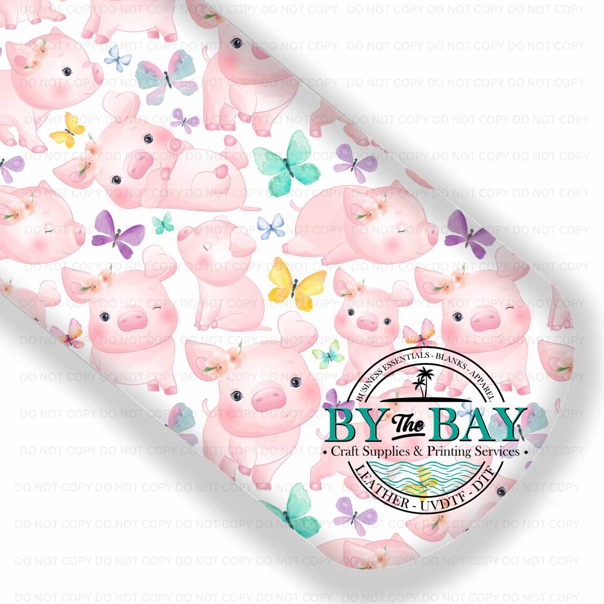 Cute Pigs