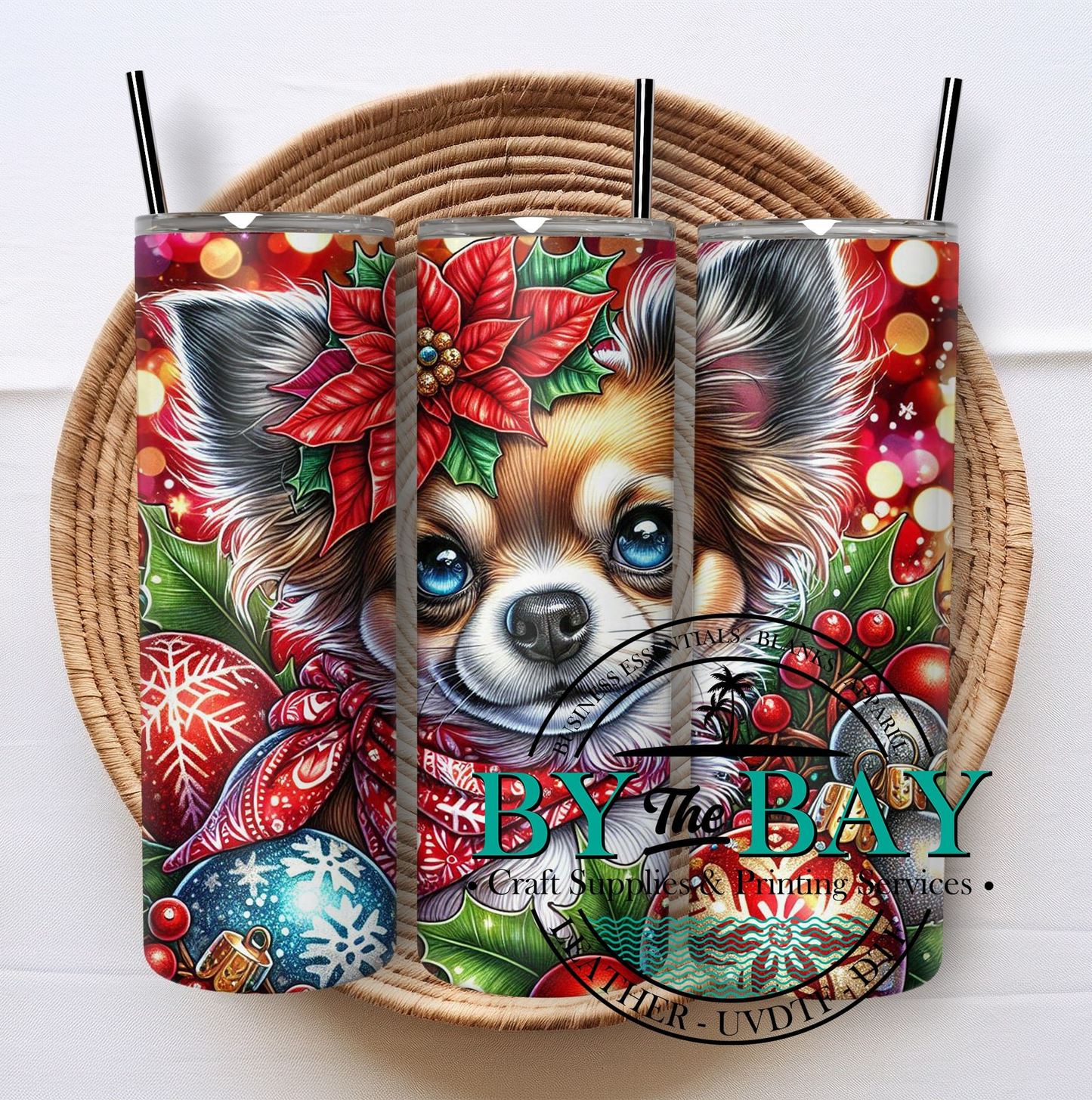 Festive Chihuahua