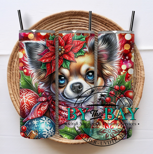 Festive Chihuahua