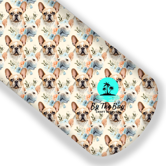 Fawn and white French Bulldog