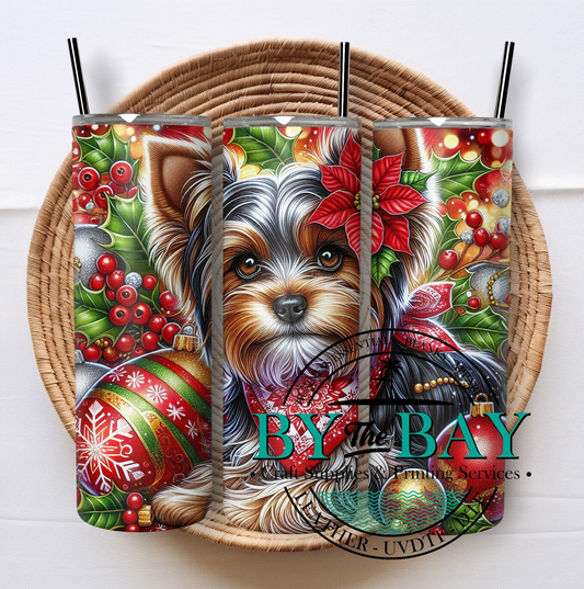 Xmas Yorkie